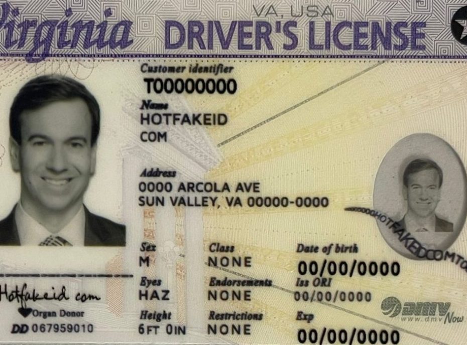 Buy Scannable Virginia Fake ID Hot Fake IDs Online