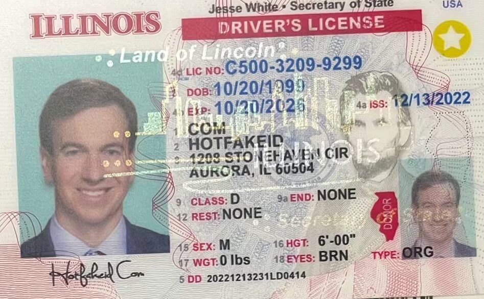 Buy Scannable Illinois Fake ID - Hot Fake IDs Online