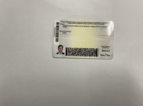 Maryland-fake-id-backside