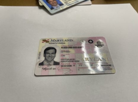 Maryland-fake-id-holographic