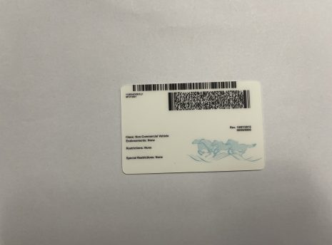 Montana-fake-id-back