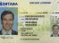 Montana-fake-id