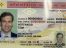 New-mexico-fakeid