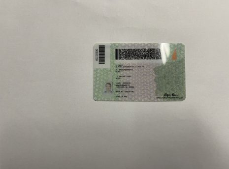 new-hampshire-back new-hampshire-back