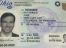 Ohio-fake-id-back