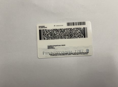 Pennsylvania-fake-idback