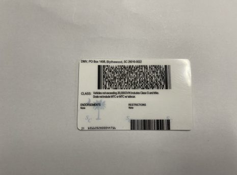 South-carolina-fake-idback South-carolina-fake-idback