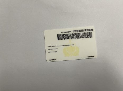 Vermont-fake-id-back