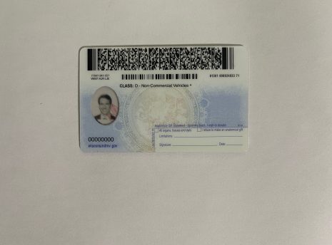 Wisconsin-fakeidback