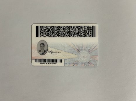 virgina-fakeid