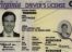 virginia-fake-id