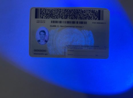 virginia-fake-idback