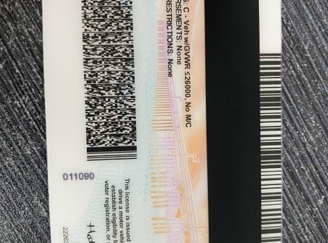 California-fake-idback